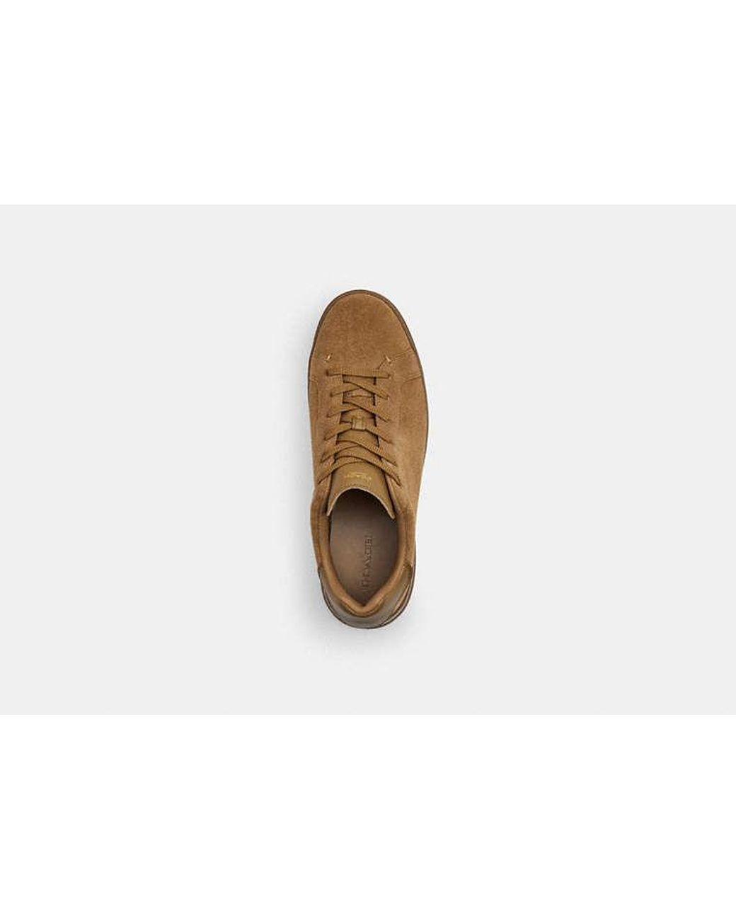COACH Brown High Line Sneaker for men