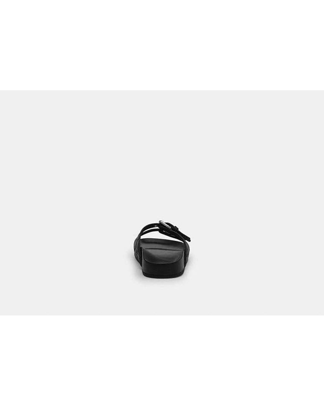 COACH Black Two Band Buckle Sandal