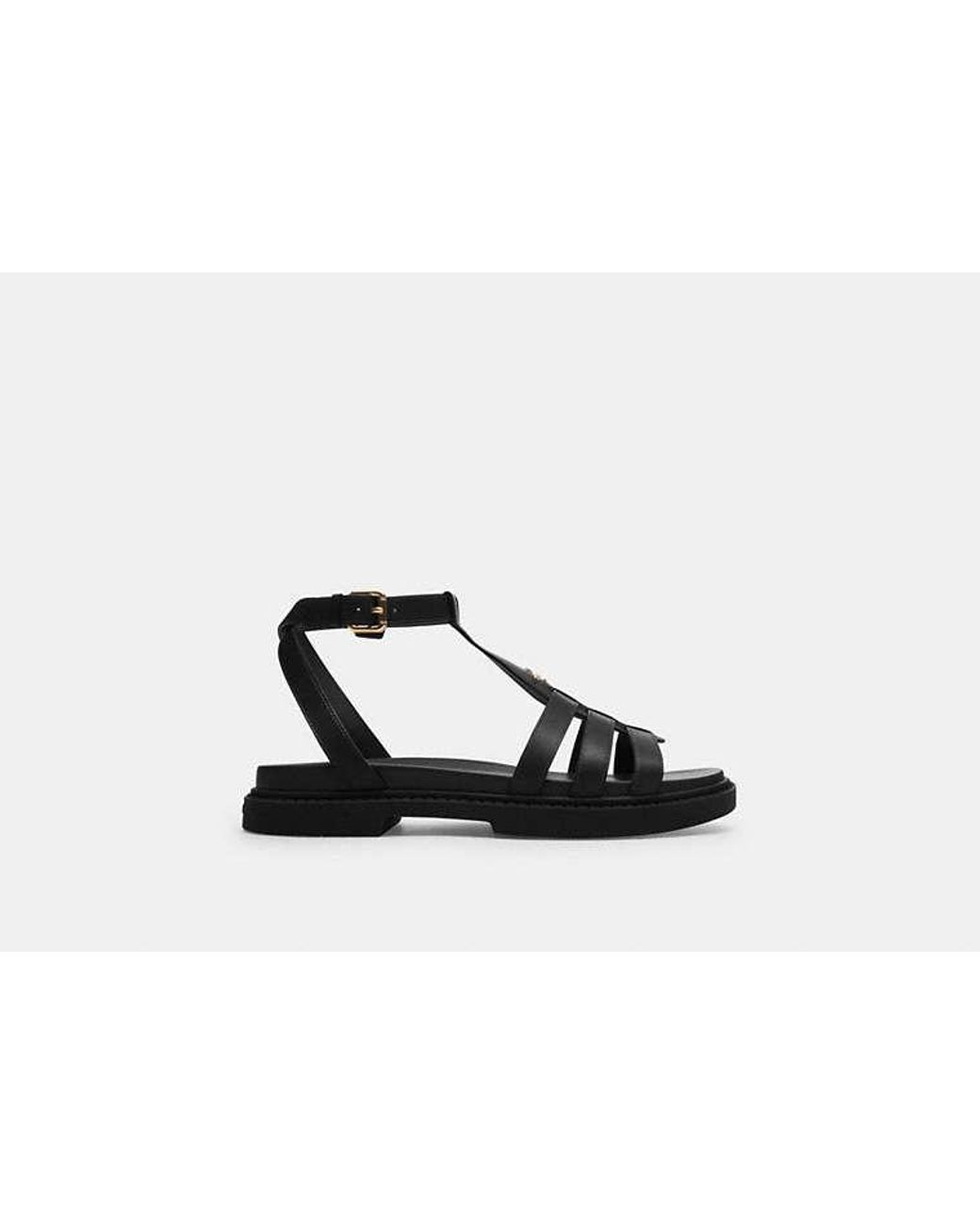 COACH Black Franny Sandal