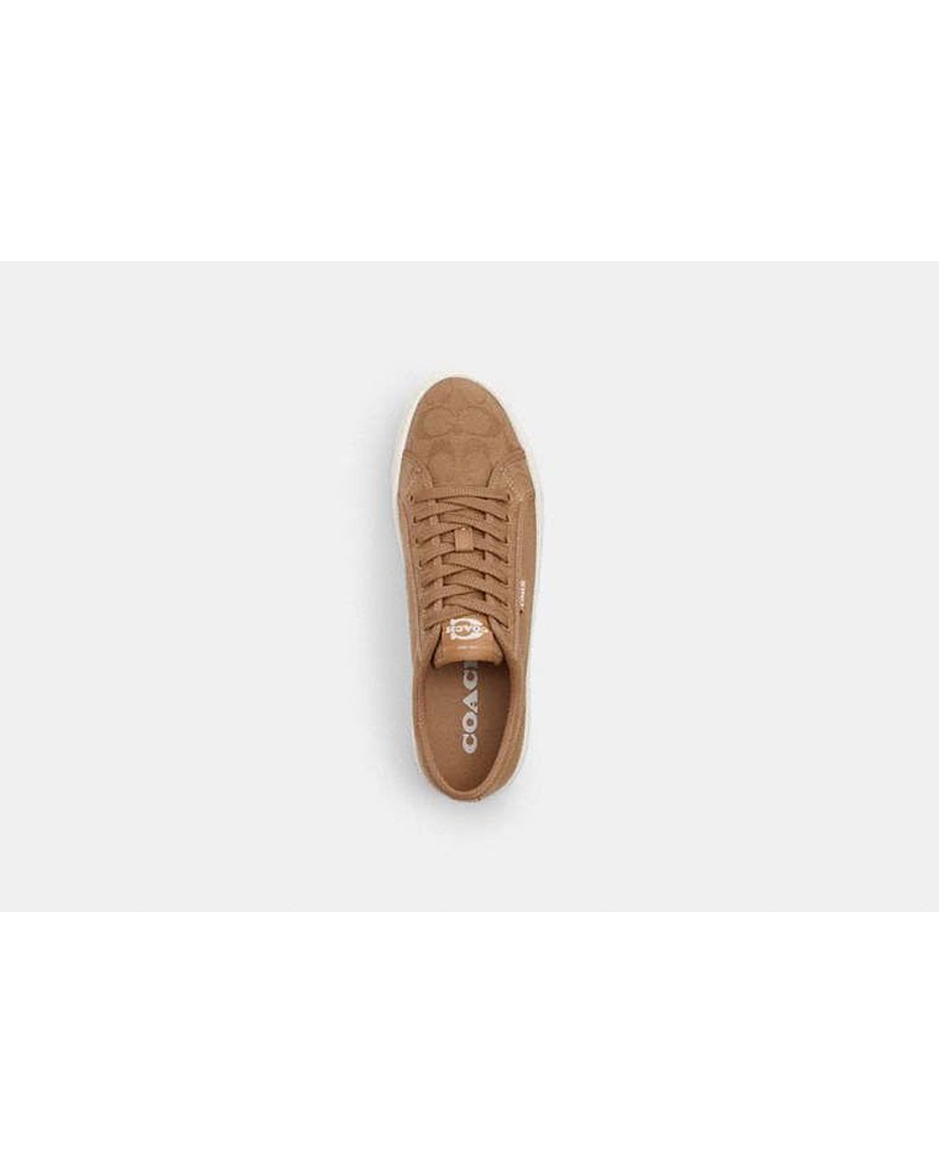 COACH Black Canvas Sneaker