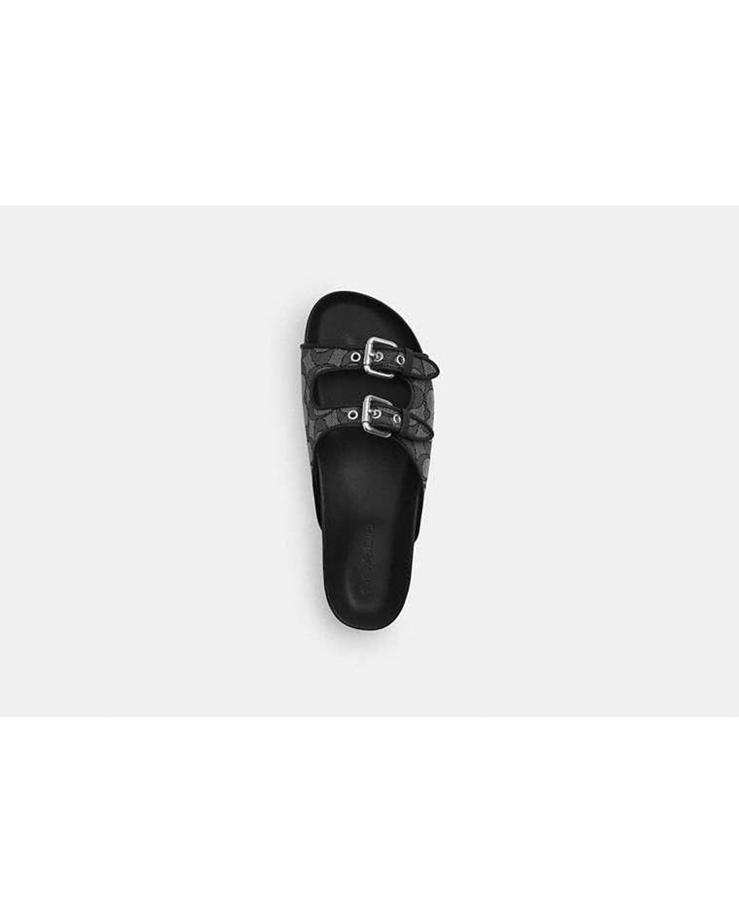 COACH Black Two Band Buckle Sandal