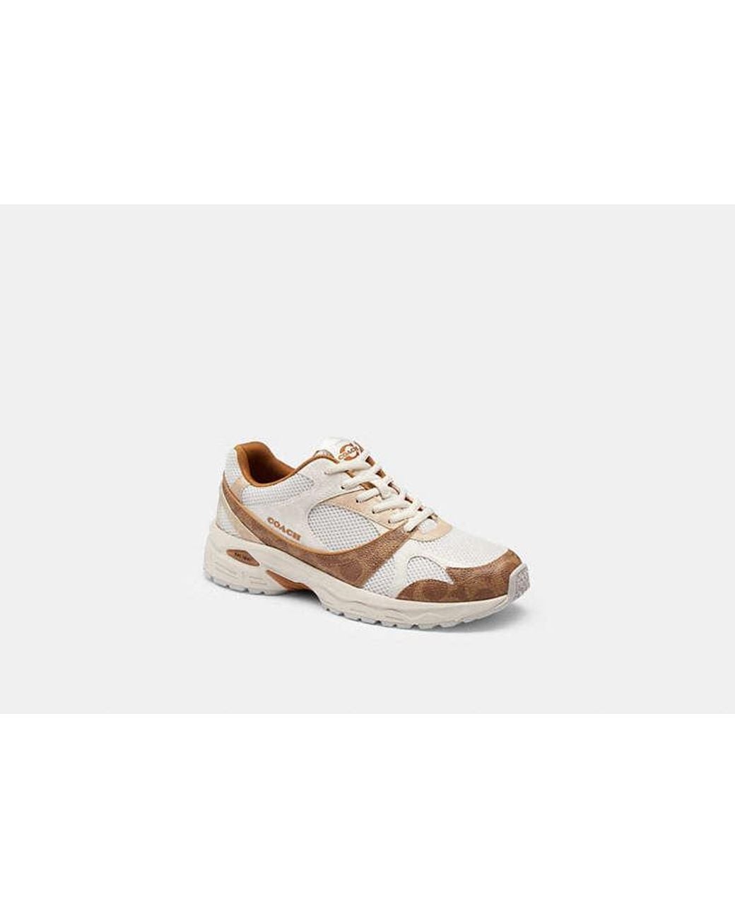 COACH Black Sport Sneaker