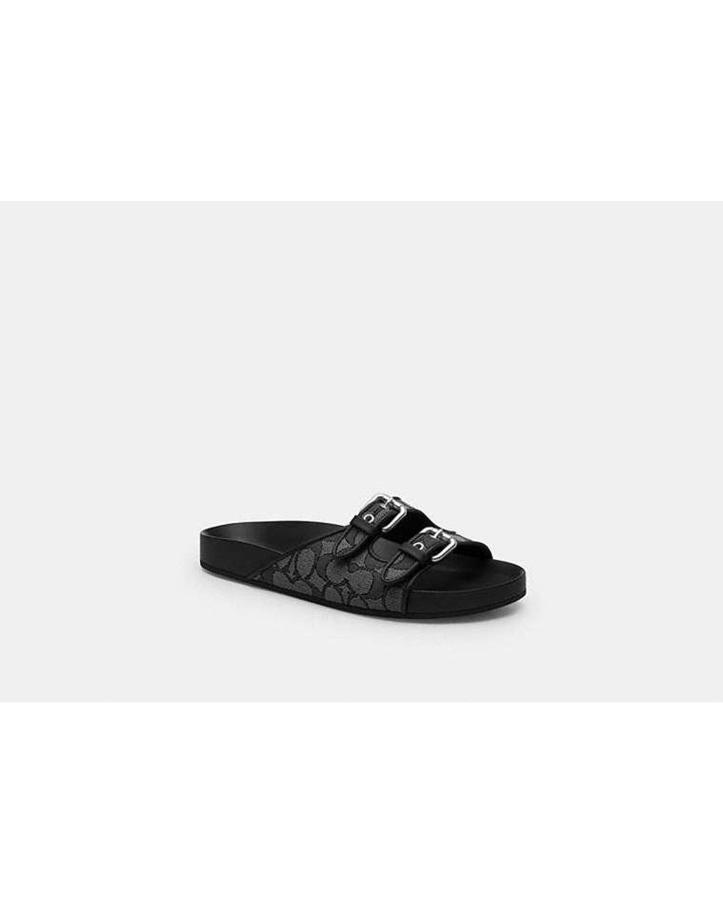 COACH Black Two Band Buckle Sandal