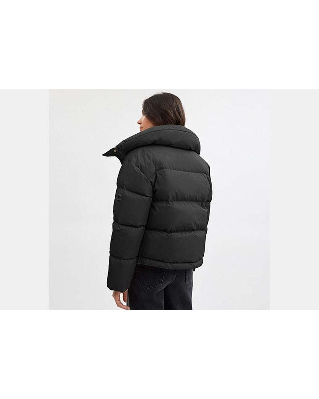COACH Black Short Puffer Jacket