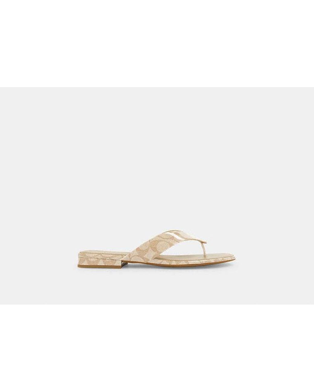 COACH Black Bridgette Sandal