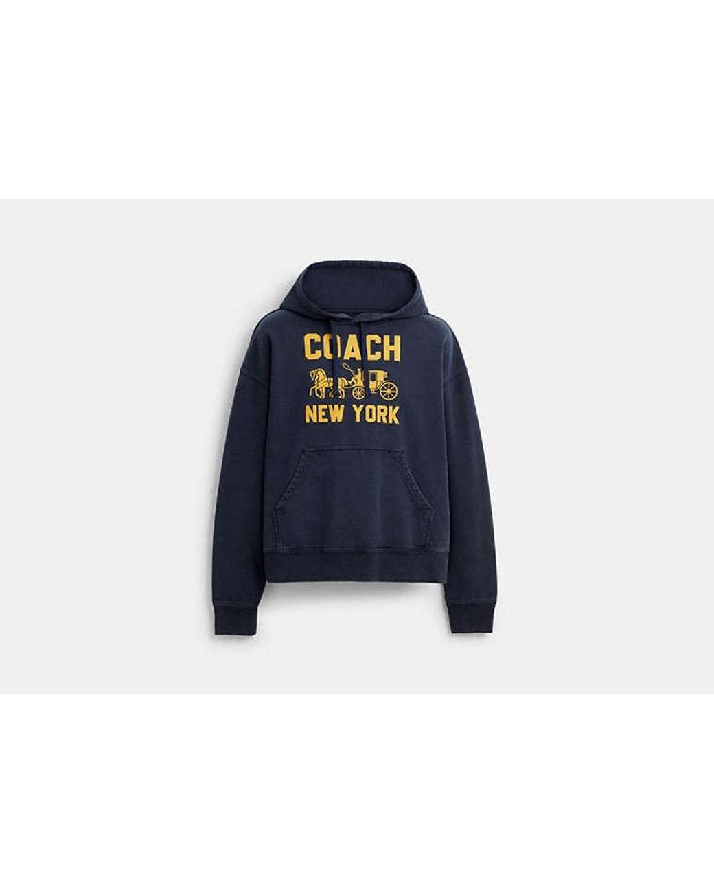 COACH Blue Horse And Carriage Hoodie