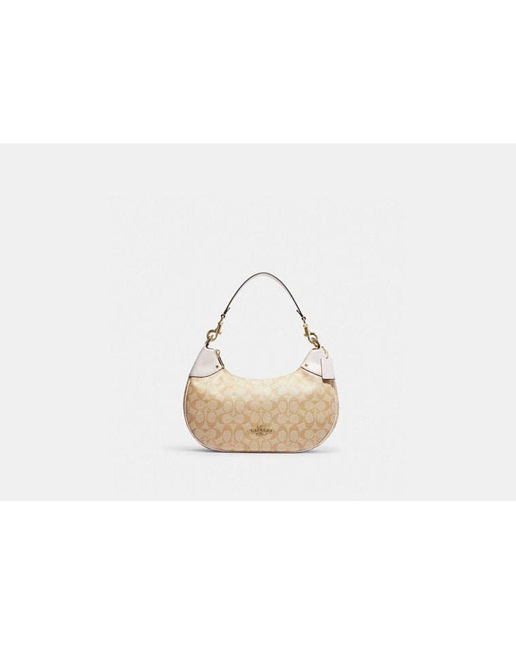 Coach signature hobo bag new arrivals