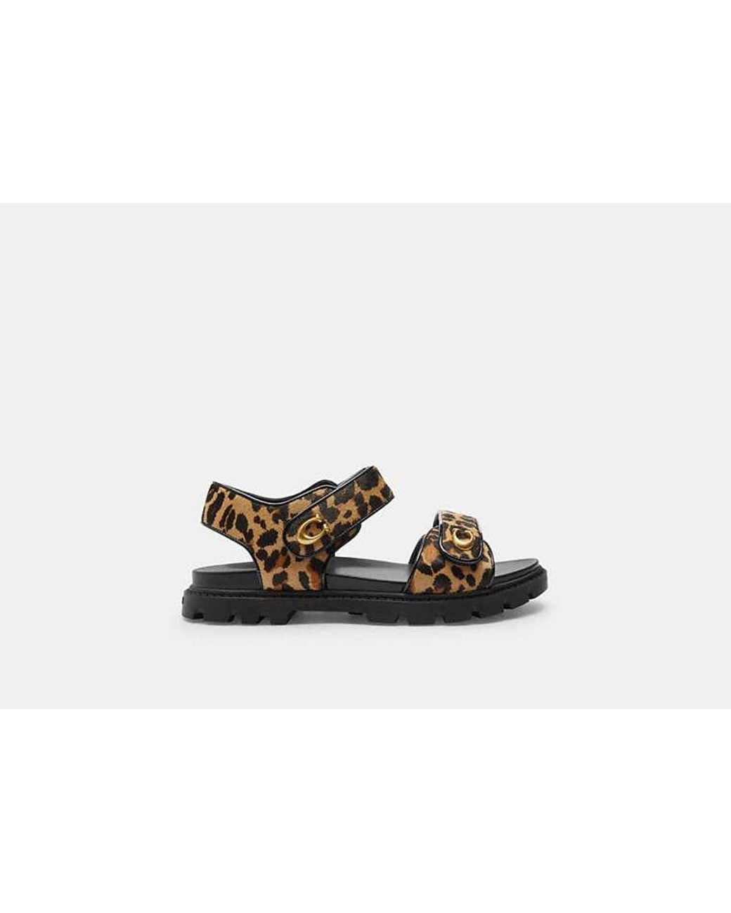 COACH Black Brynn Sandal Print Flat