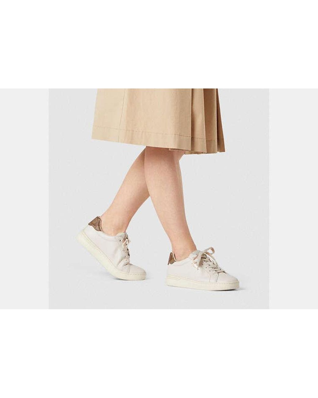 COACH Black Clip Low Top Sneaker
