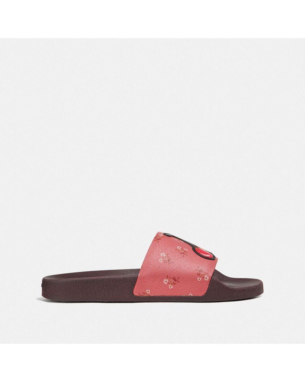 floral coach slides