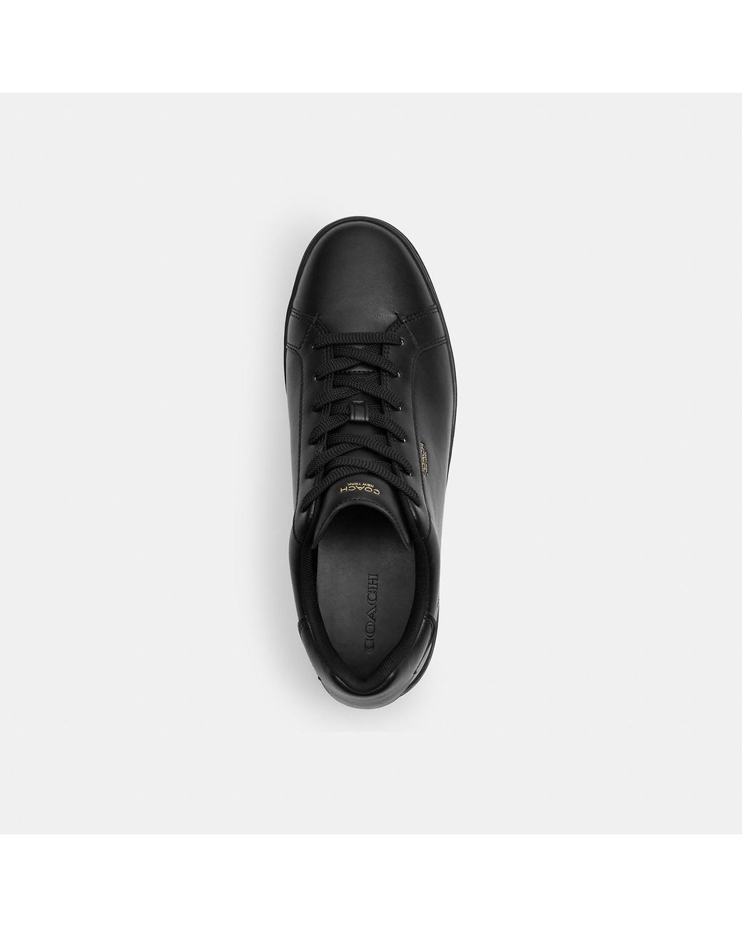 COACH Black High Line Sneaker for men