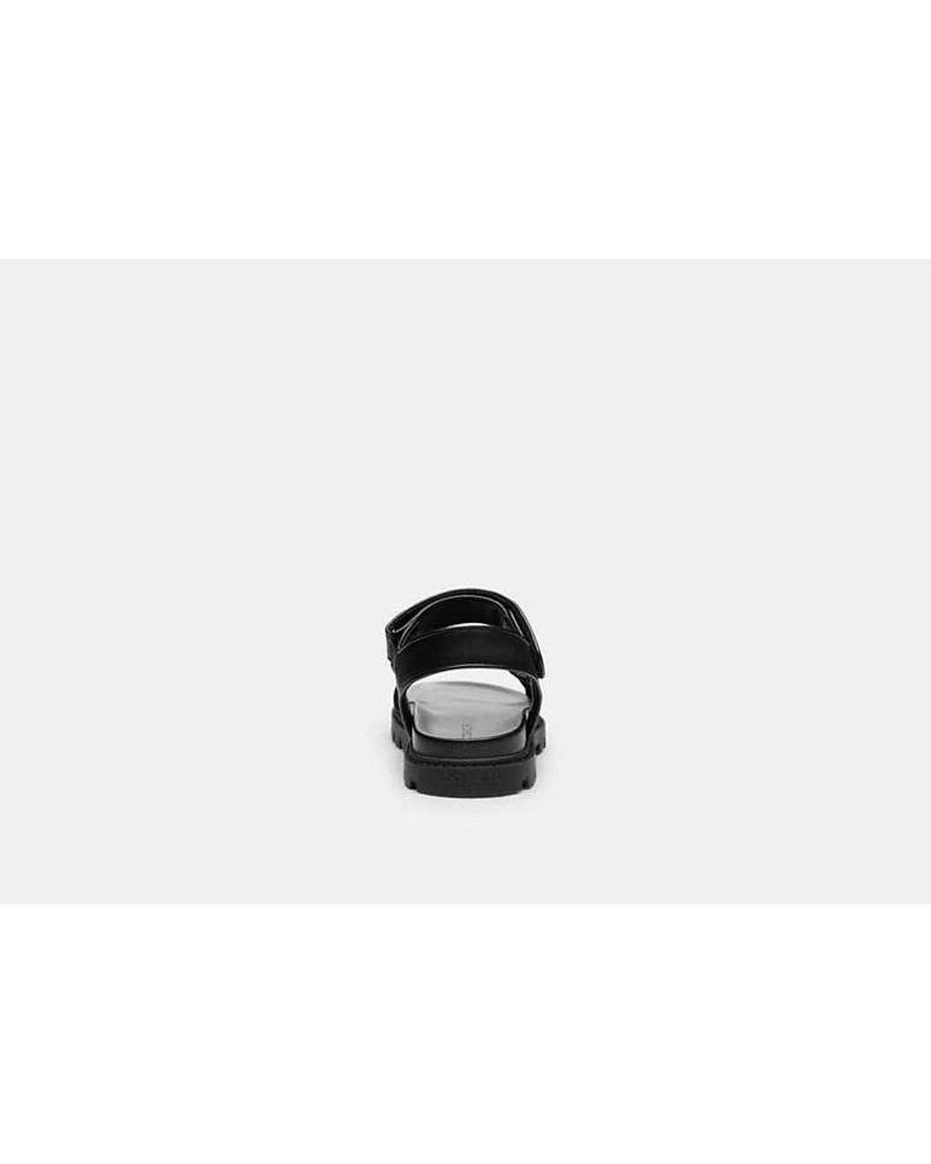 COACH Black Sport Sandal