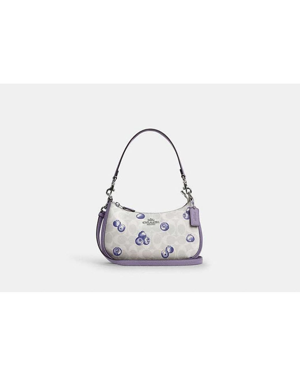 Blueberry bag sale