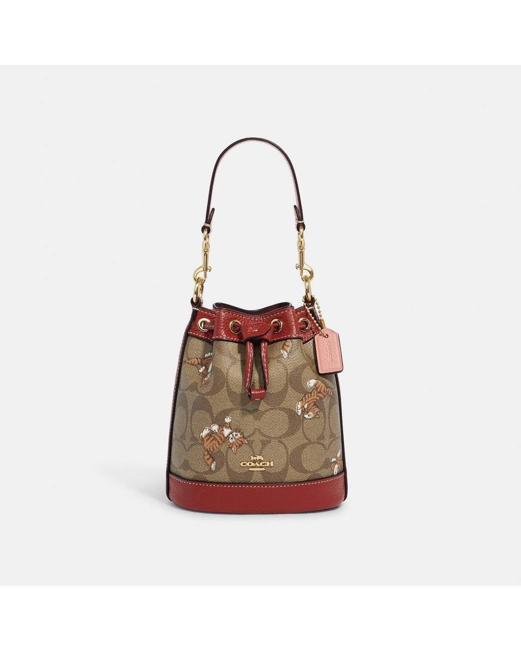 Coach Outlet Mini Dempsey Bucket Bag In Signature Canvas With Dancing Kitten  Print in Brown | Lyst