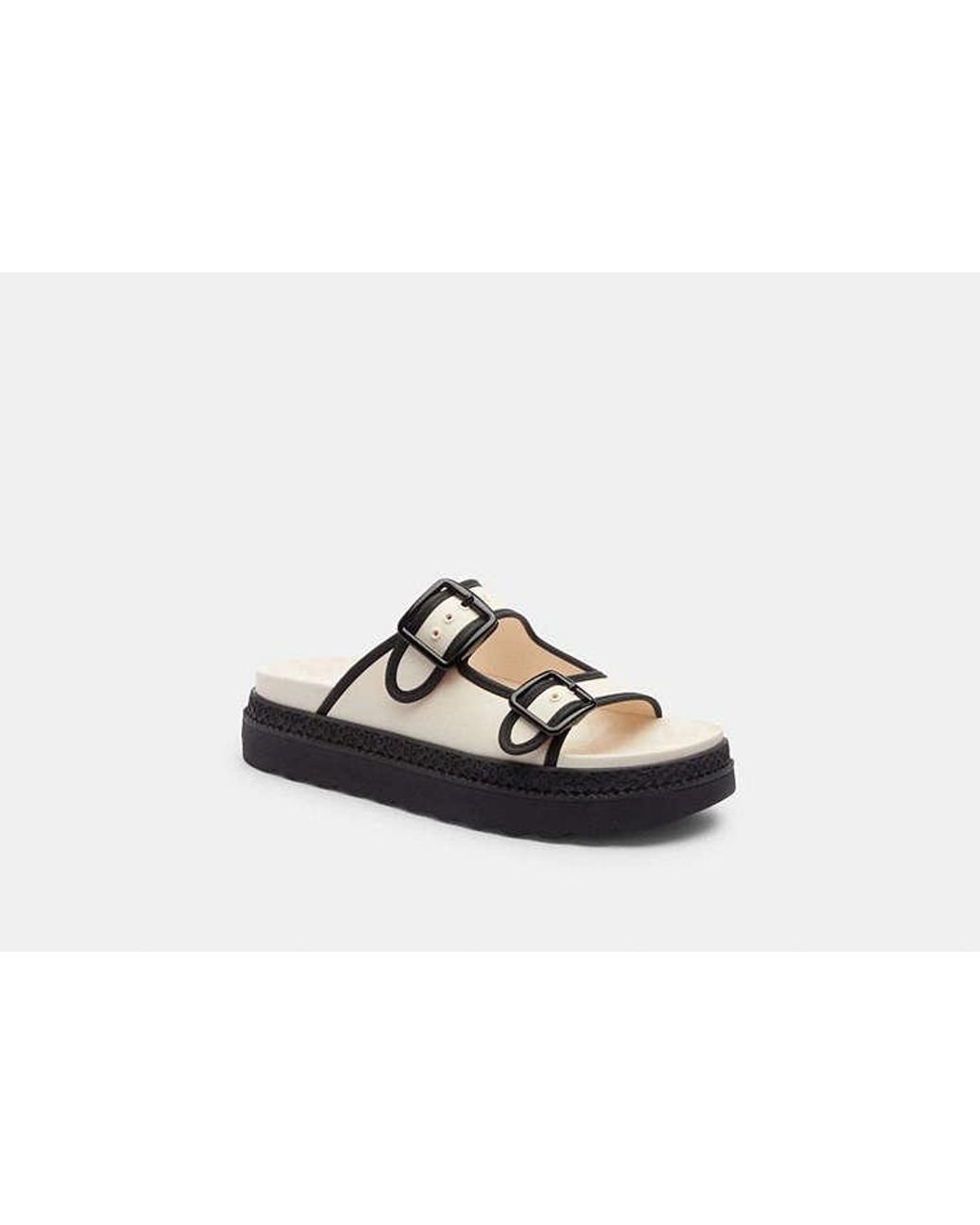 coach-Multi-Lainey-Sandal.jpeg