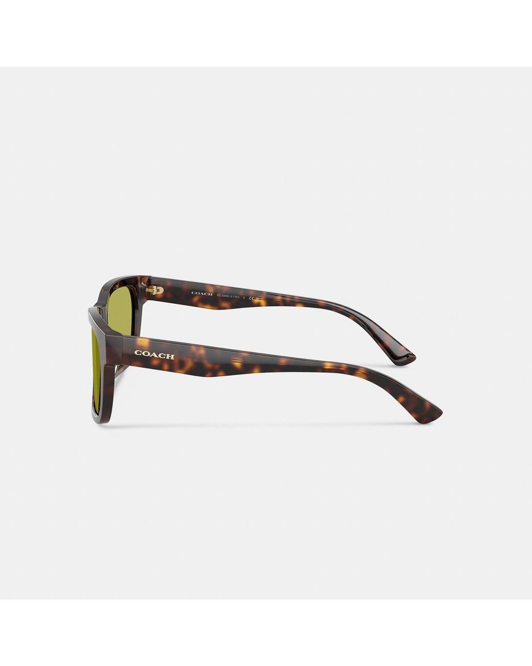 COACH Green Square Sunglasses for men