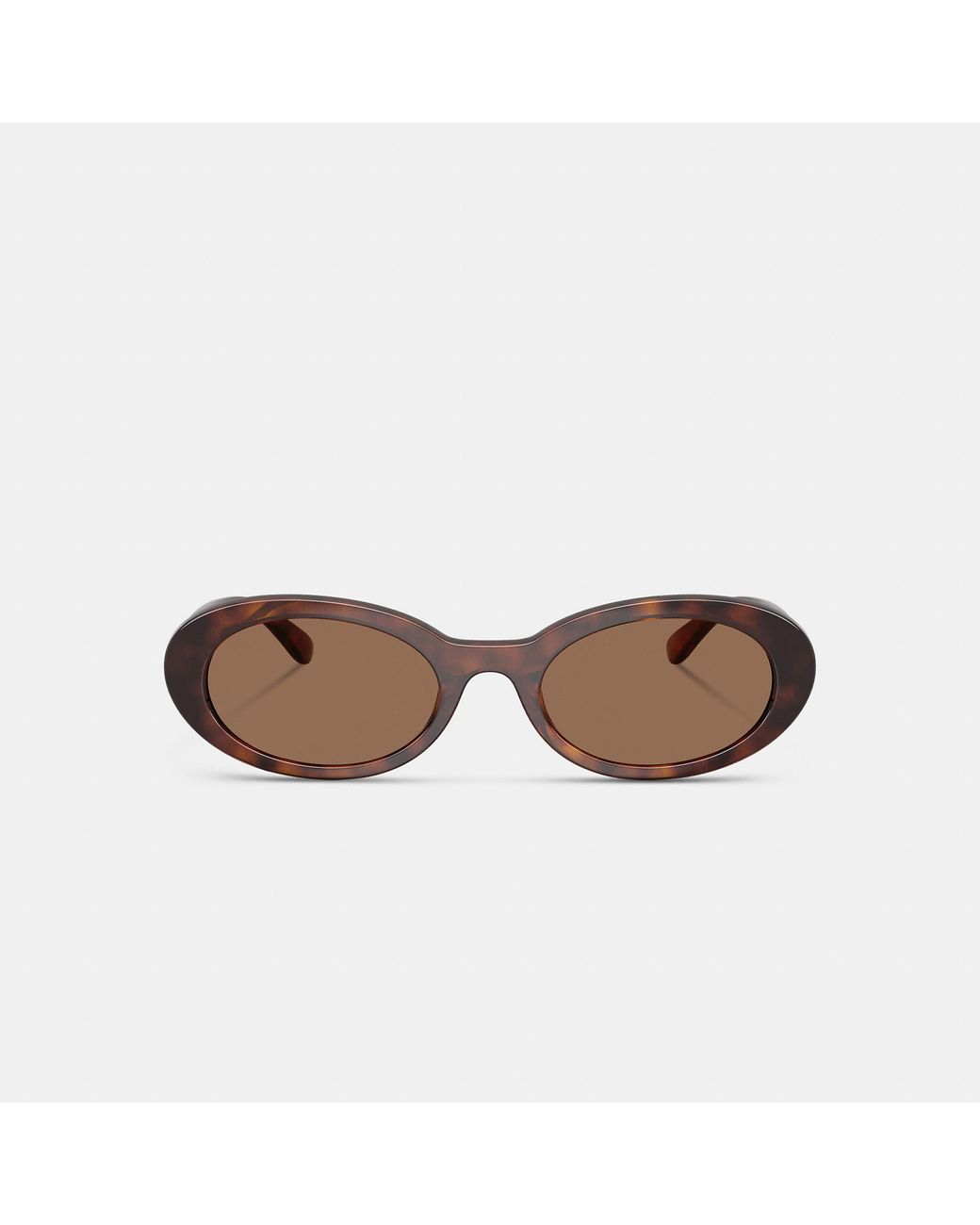 COACH Brown Narrow Oval Sunglasses