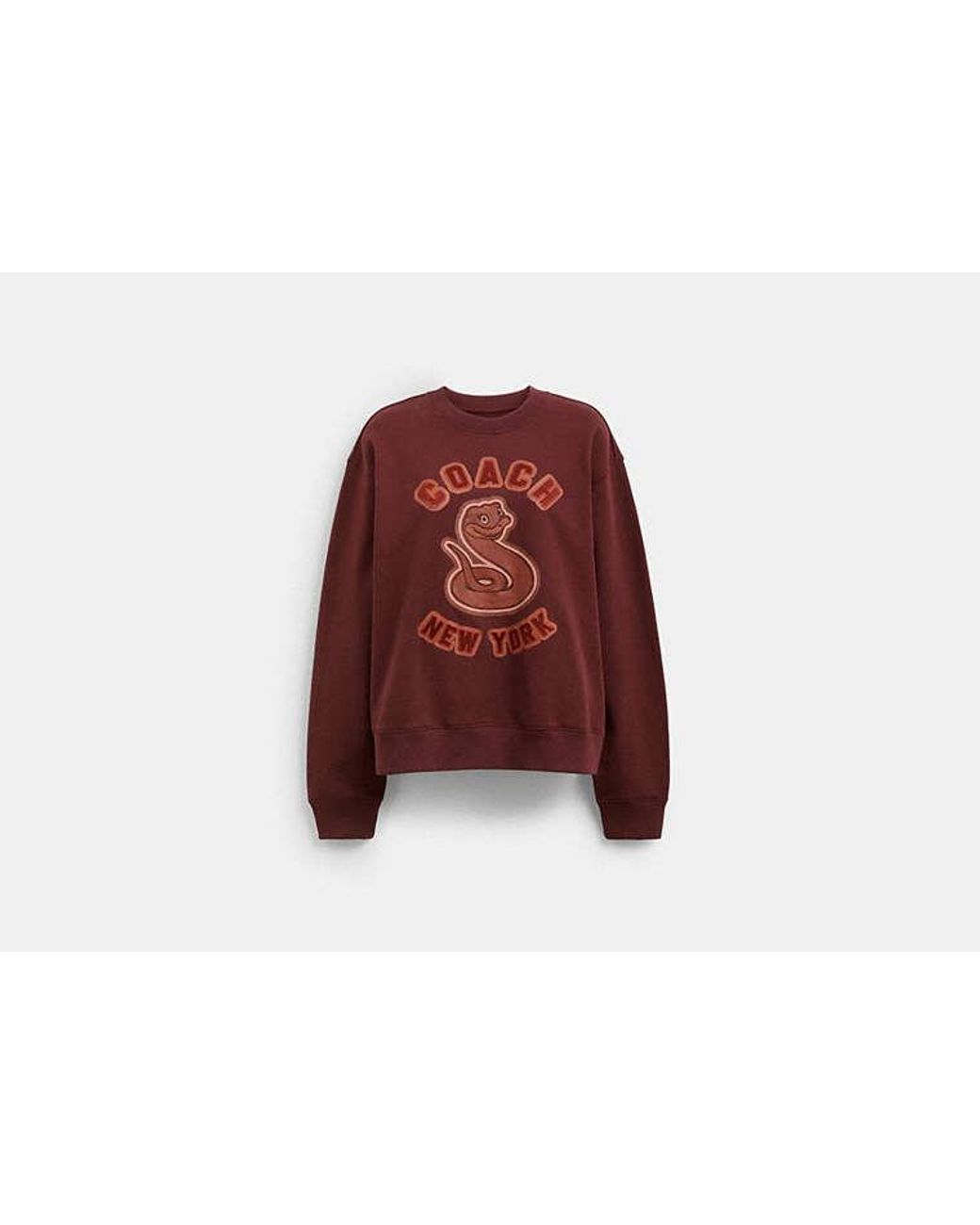 【Coach】New Year Coach スネーク スクリプト スウェット COACH® Outlet | New Year Crewneck Sweatshirt With Snake Graphic