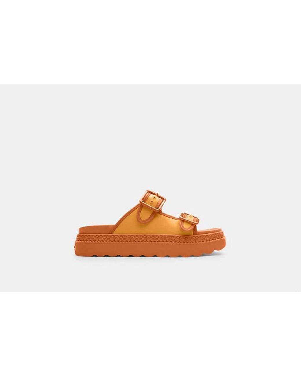 COACH コーチ Lainey Sandal サンダル COACH® Outlet | Sandale Lainey