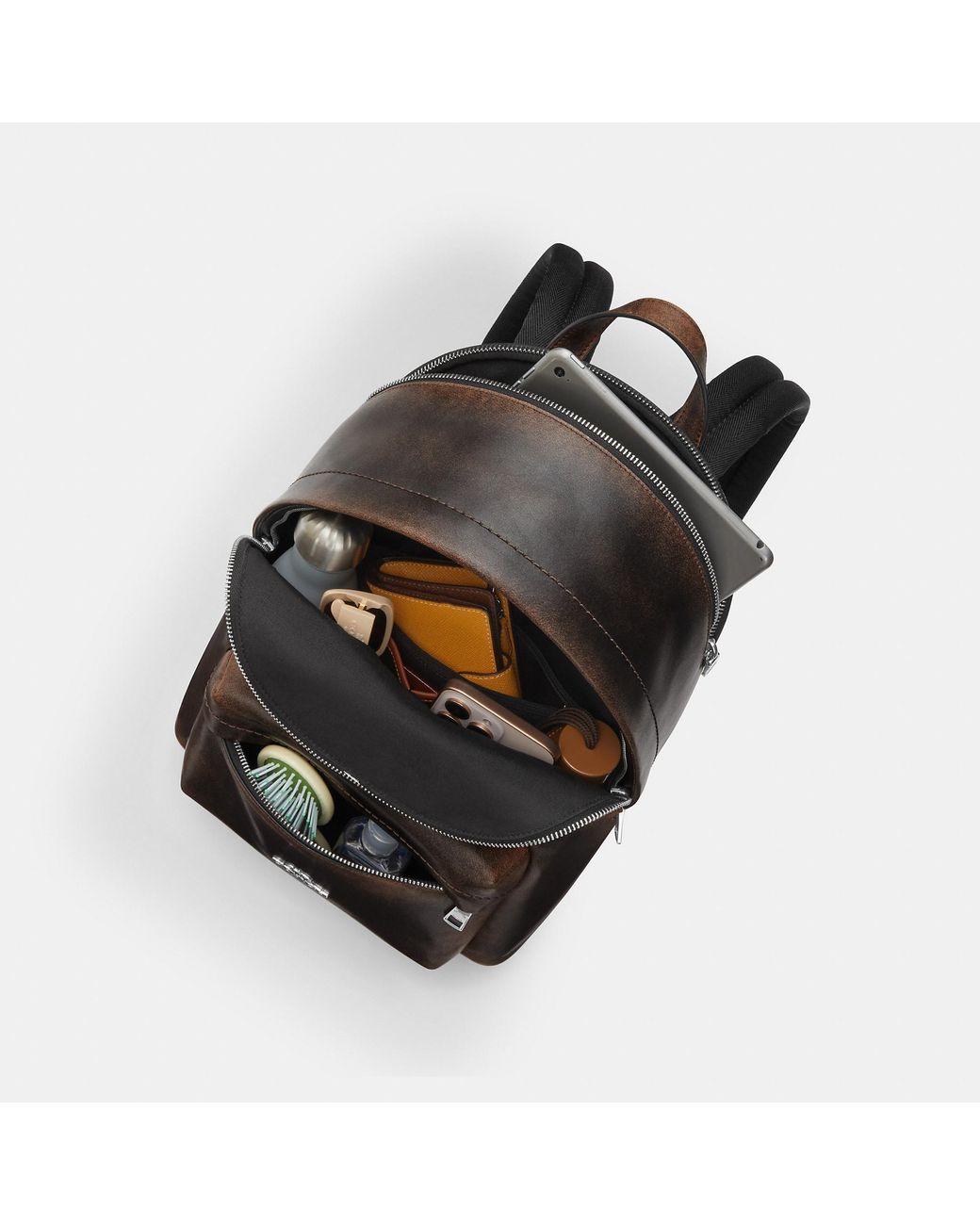 COACH Black Taylor Small Backpack