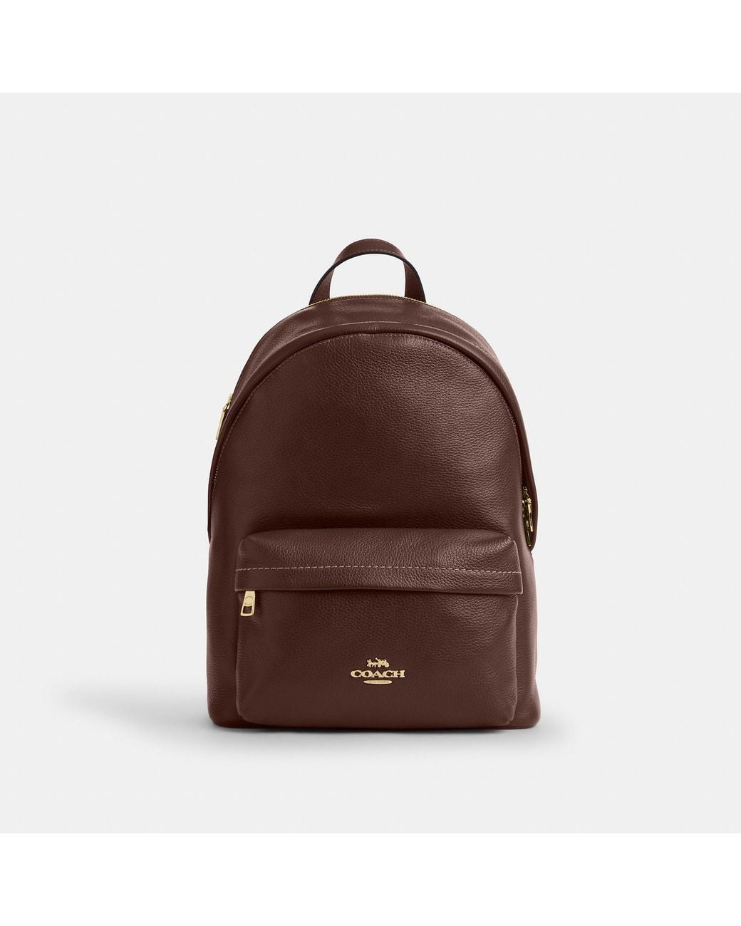 COACH Brown Taylor Small Backpack