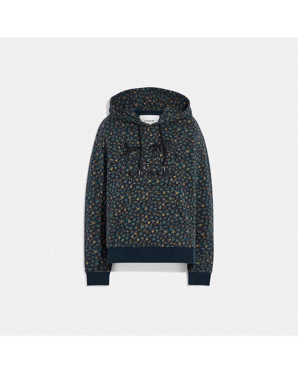 Coach Outlet Embroidered Horse And Carriage Hoodie In Organic Cotton in ...