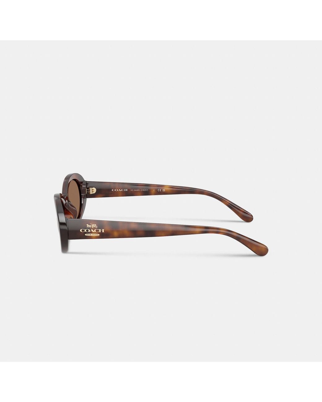 COACH Brown Narrow Oval Sunglasses