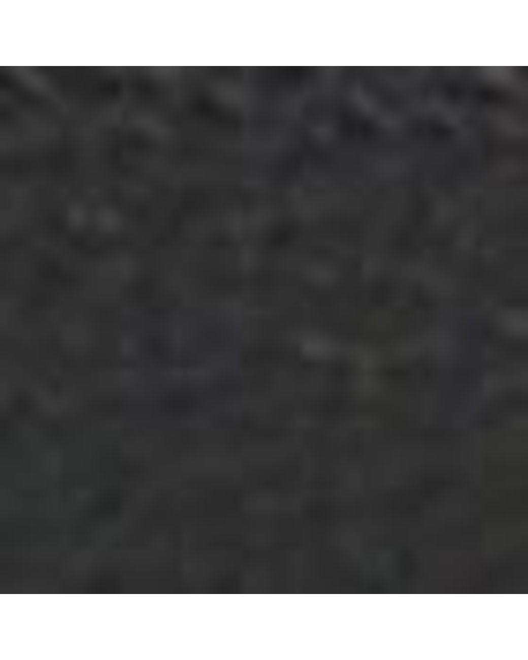 Coccinelle Black Grained Leather Shoulder Bag Thess Large