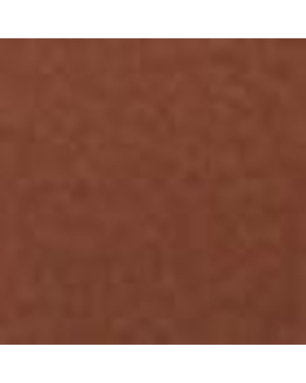 Coccinelle Brown Belt