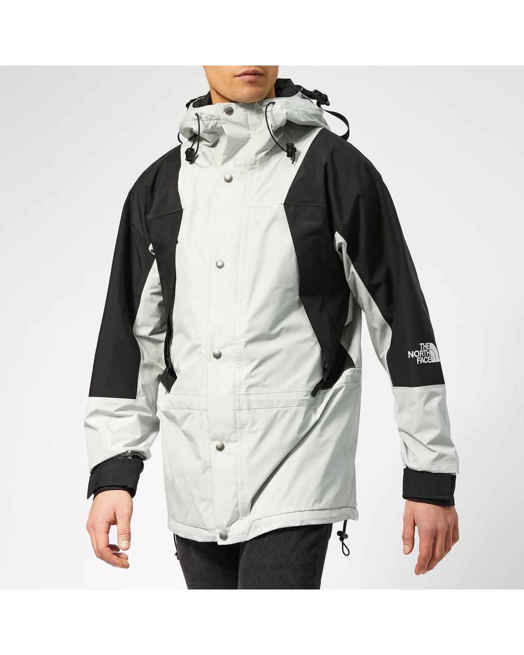 The North Face Synthetic 1994 Retro Mountain Light Gtx Jacket in 