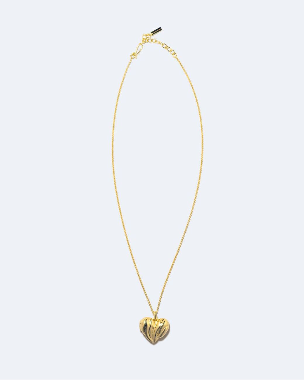 COMPLETEDWORKS Metallic Heart Locket