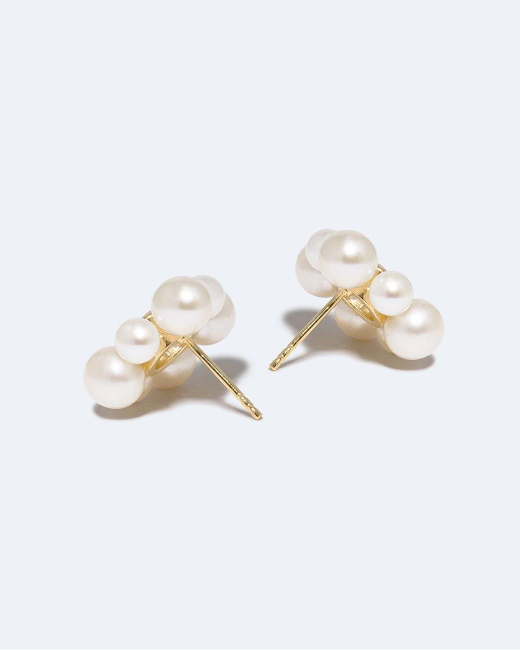 COMPLETEDWORKS White Dandelion
