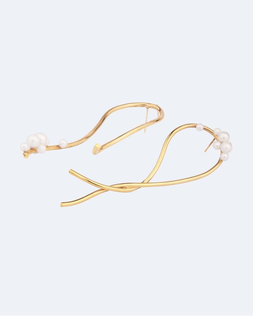 COMPLETEDWORKS Multicolor Wild Relatives