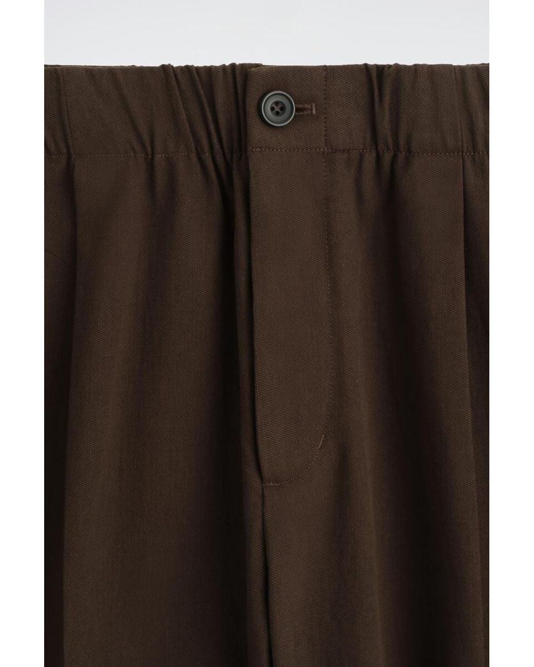 COS Brown Pleated Relaxed-Fit Barrel-Leg Pants for men