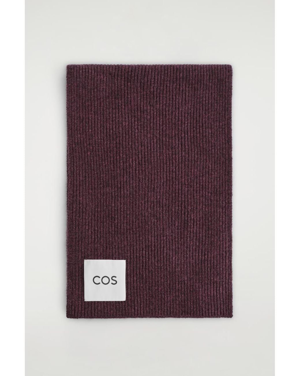 Sciarpa di COS in Purple da Uomo