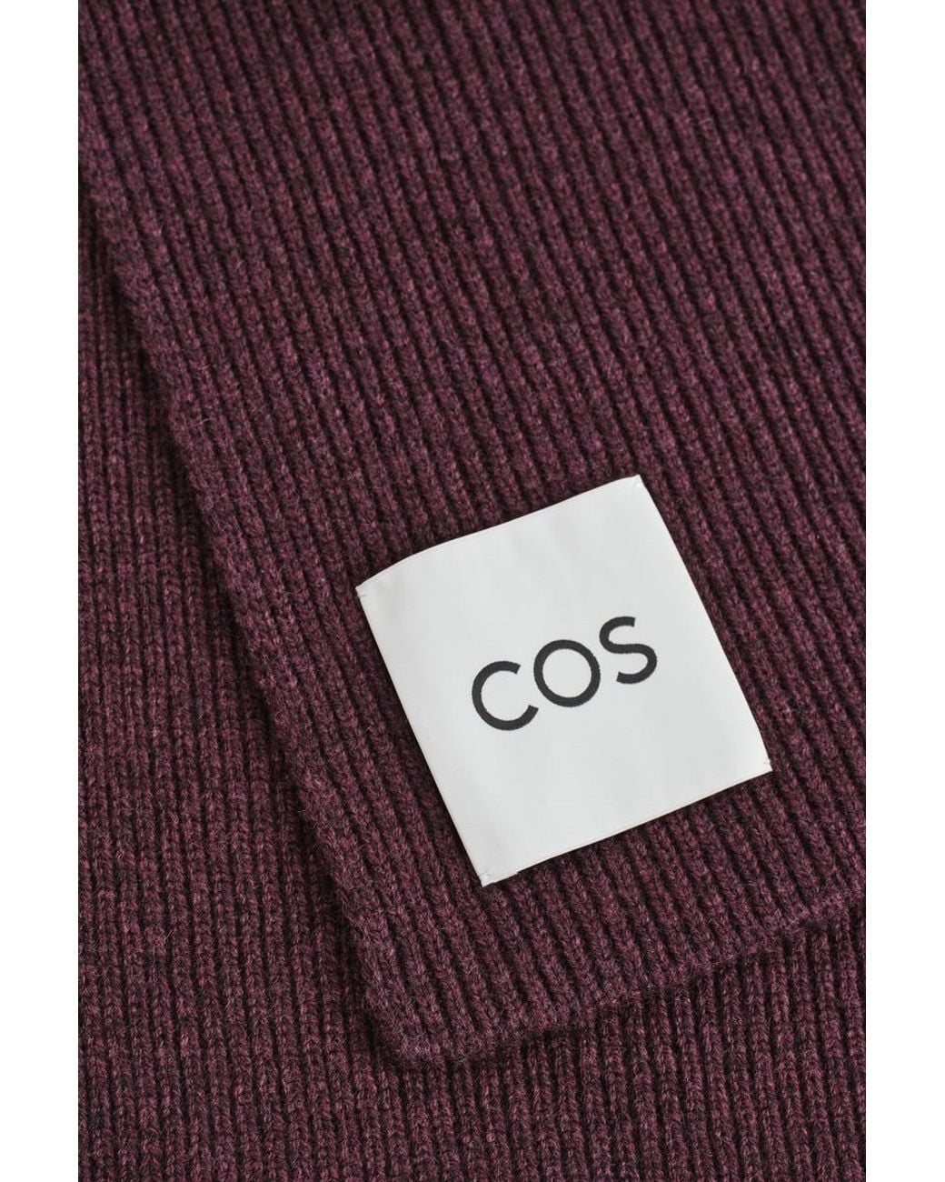 Sciarpa di COS in Purple da Uomo
