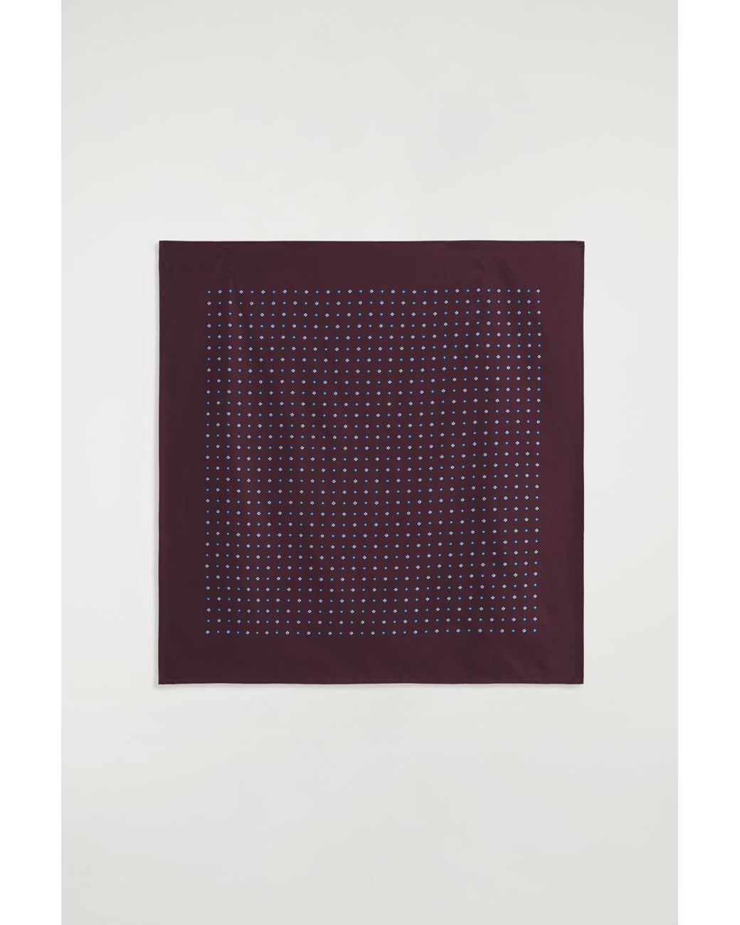 Sciarpa di COS in Purple