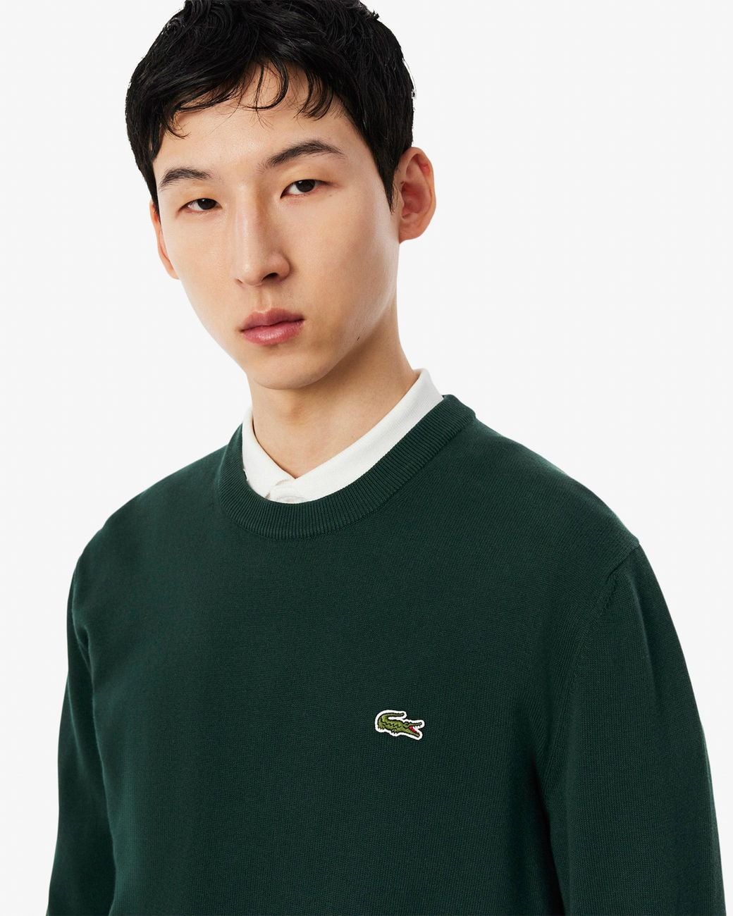 Lacoste Green Organic Cotton Crew Neck Sweater for men