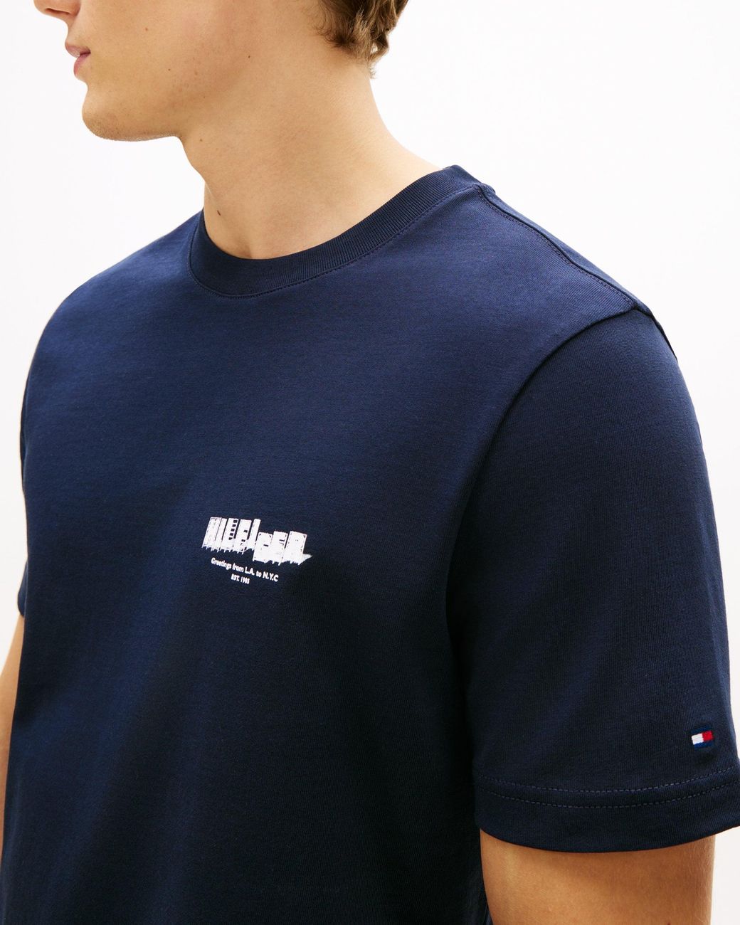 Tommy Hilfiger Blue Photo Print Hilfiger T-Shirt for men