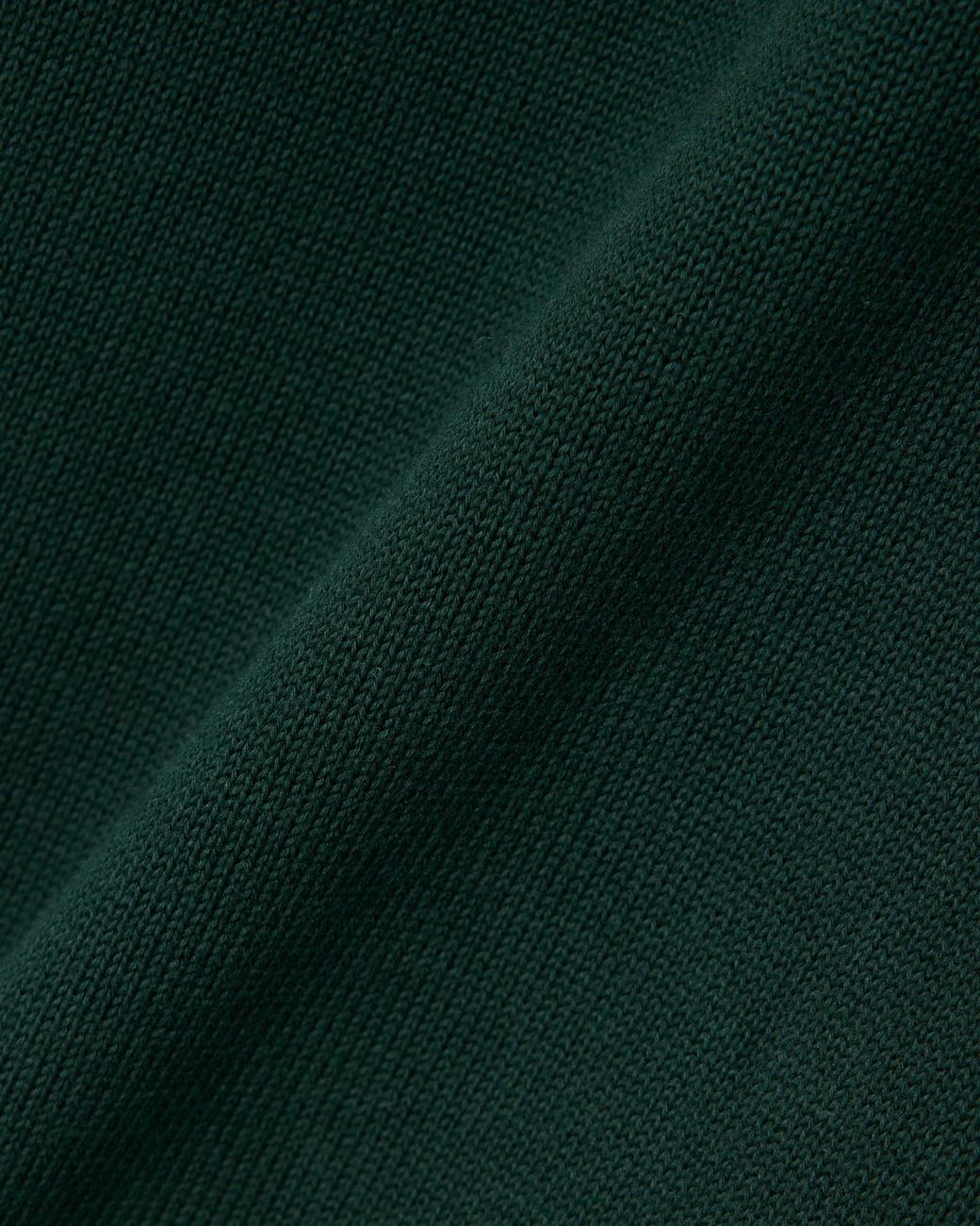 Lacoste Green Organic Cotton Crew Neck Sweater for men