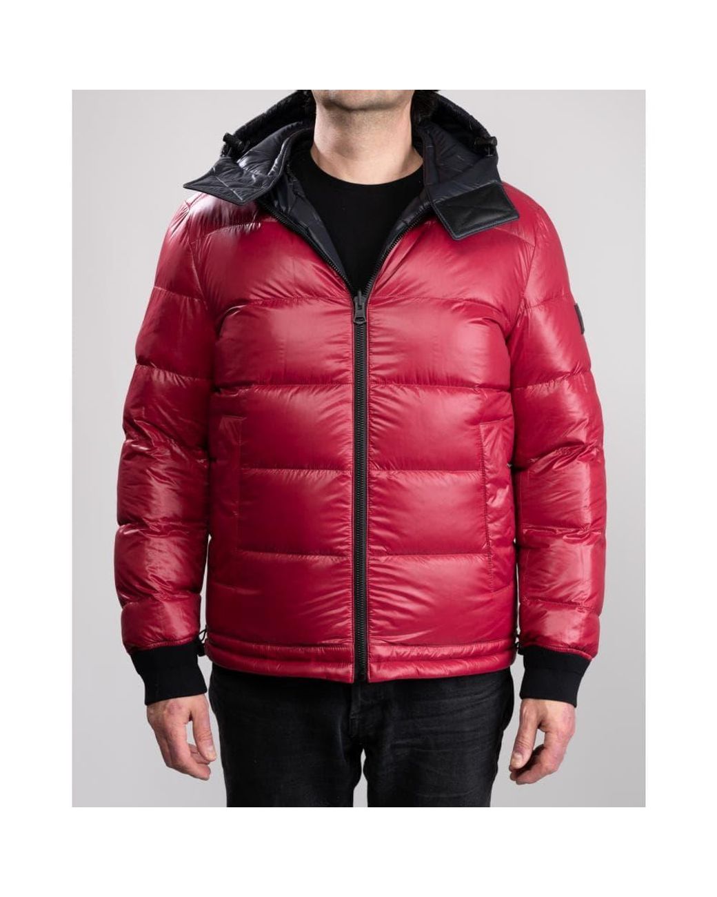 hugo boss hooded puffer jacket