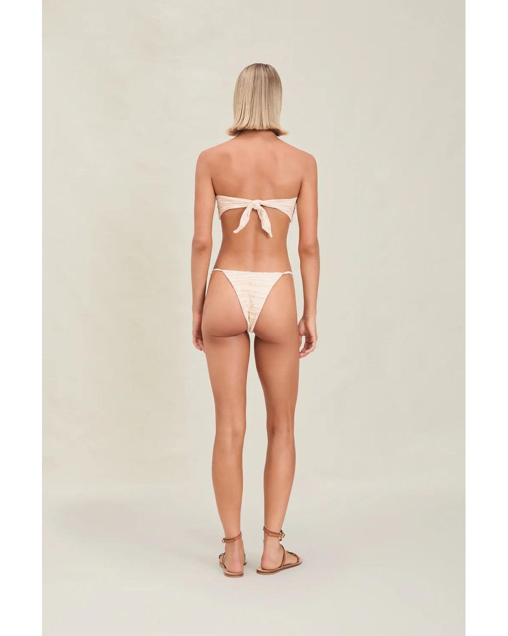 Devon Windsor Multicolor Anto Top