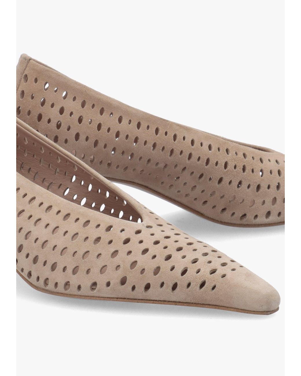Daniel Multicolor Skye Perforated Kitten Heel Court Shoes