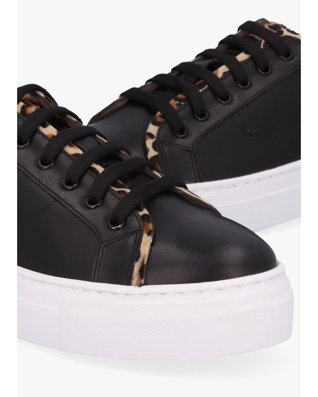 Daniel Black Panny Leather Leopard Trainers