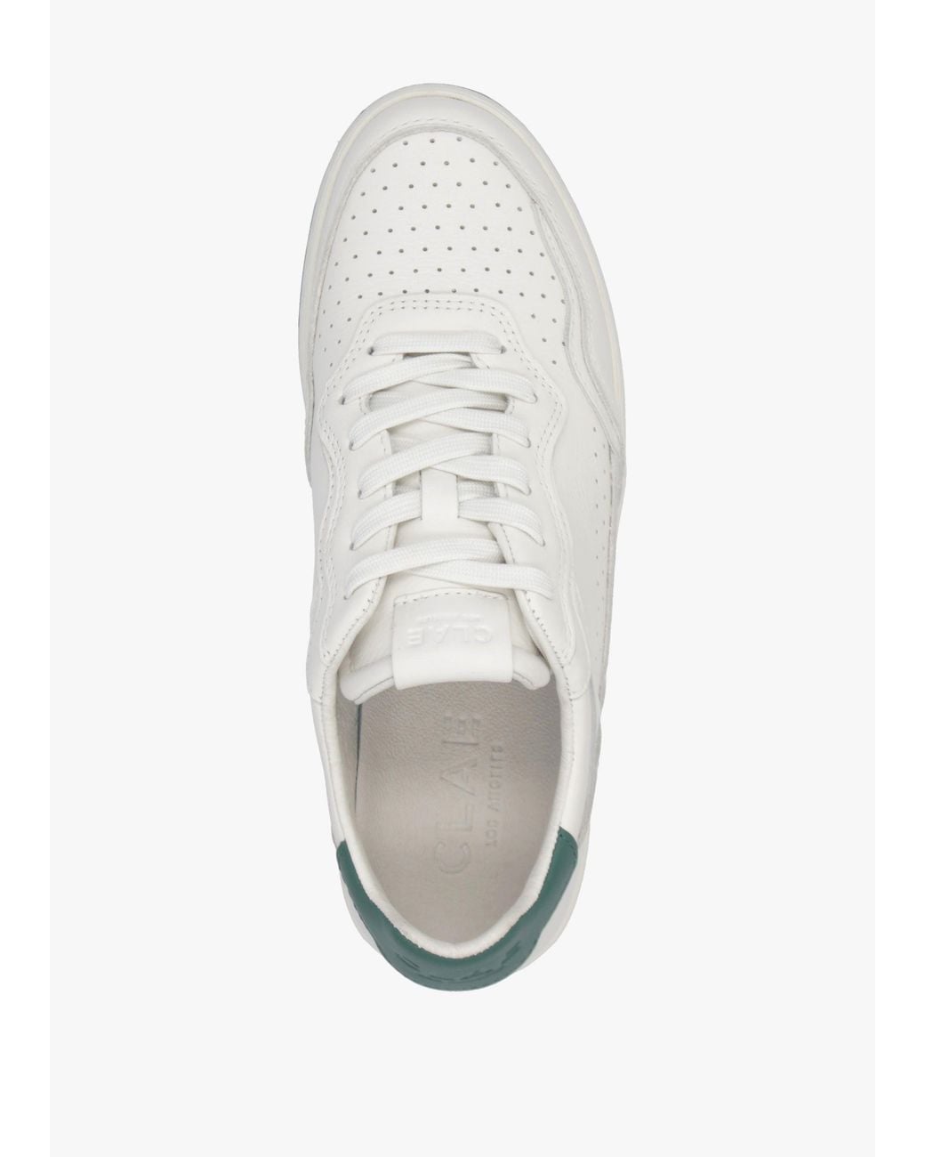 CLAE White Haywood Galapagos Trainers