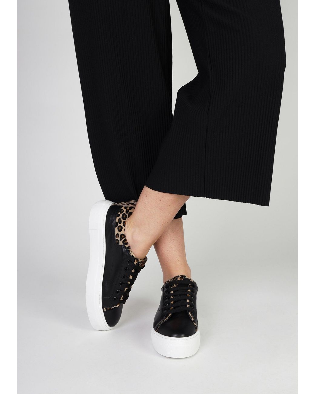 Daniel Black Panny Leather Leopard Trainers
