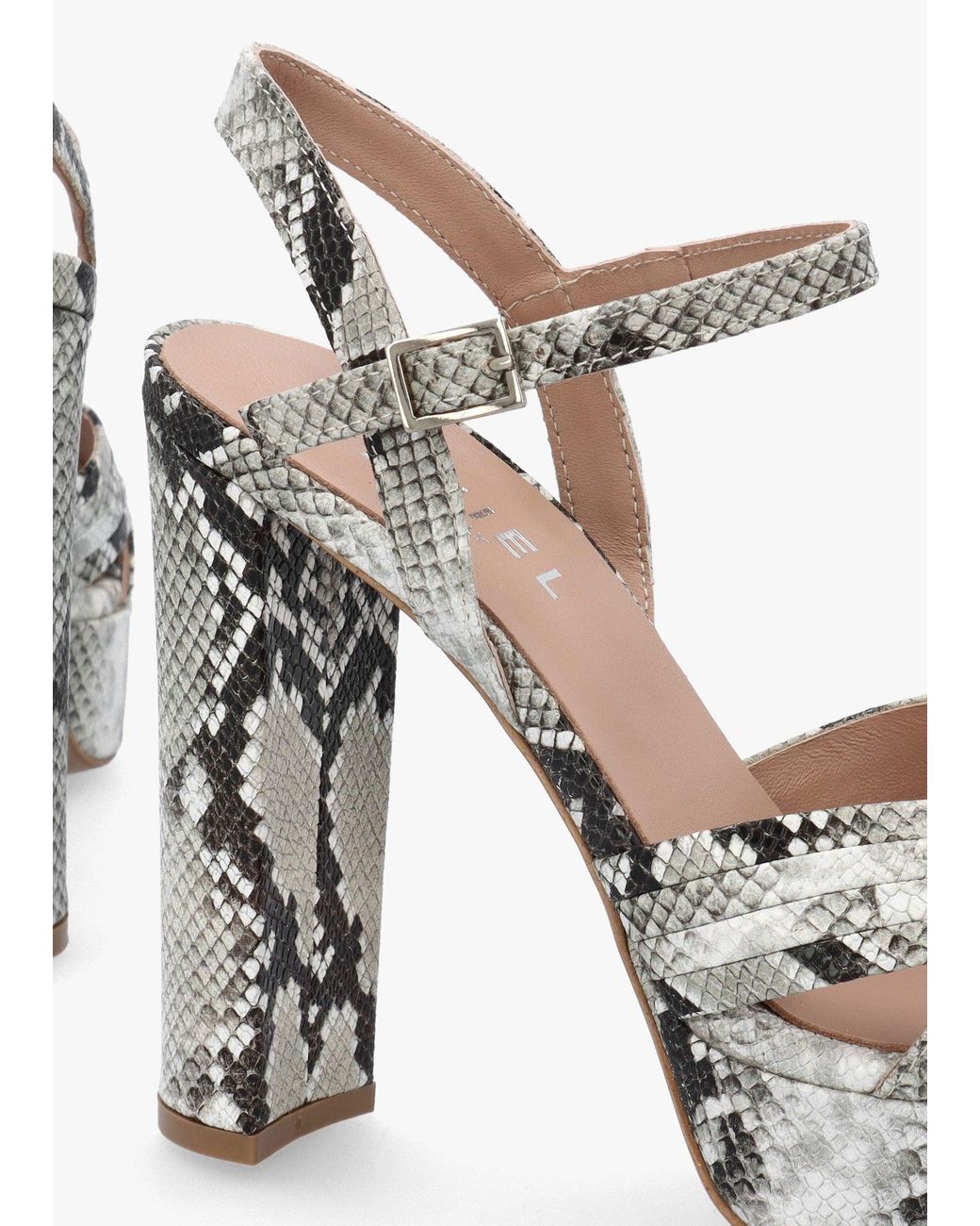 Daniel Metallic Avery Reptile Leather Heeled Sandals