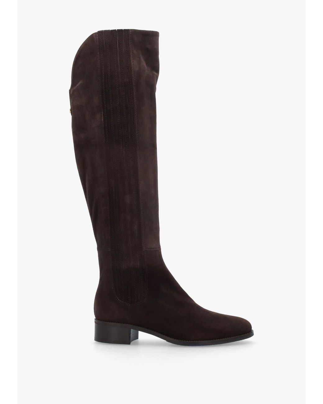 Daniel Black Miele Knee Boots