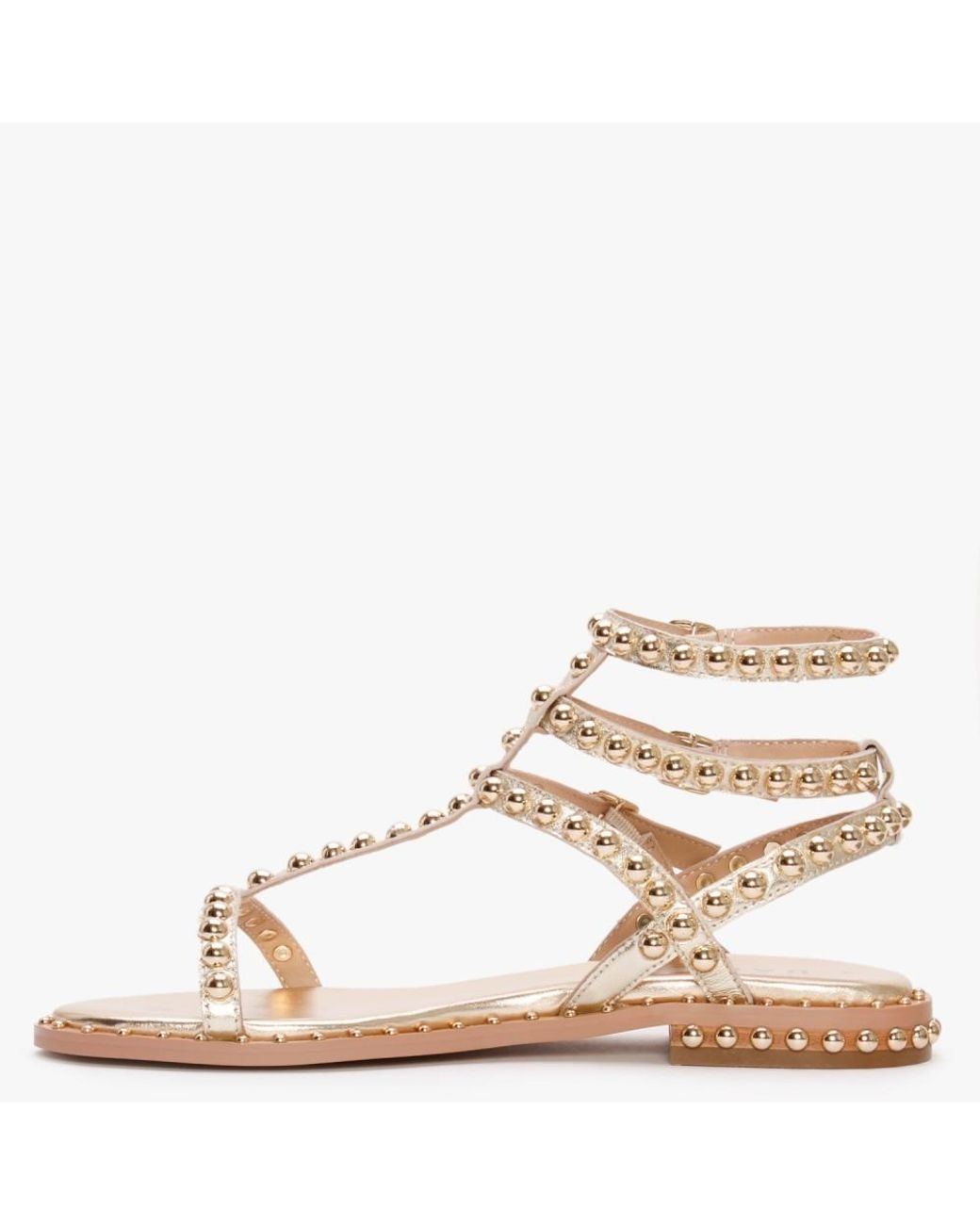Daniel Eternal Gold Leather Studded Gladiator Sandals in Natural | Lyst