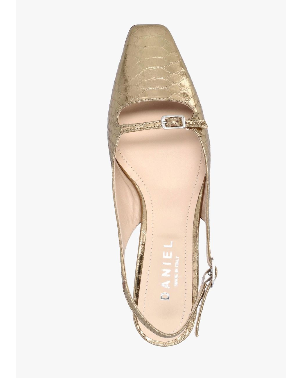 Daniel Natural Nux Leather Reptile Low Heel Court Shoes